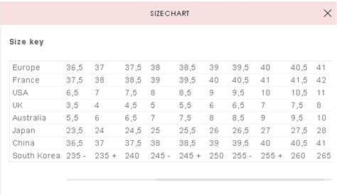 Roger Vivier Size Chart