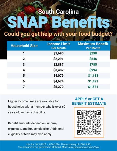 Sc Snap Benefit Amount Chart