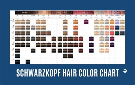 Schwarzkopf Hair Color Chart Numbers
