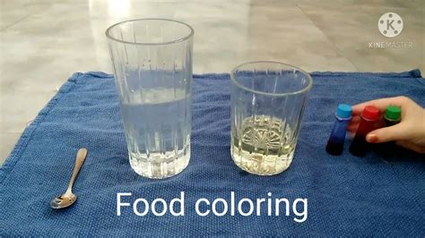 Science Project With Food Coloring And Water