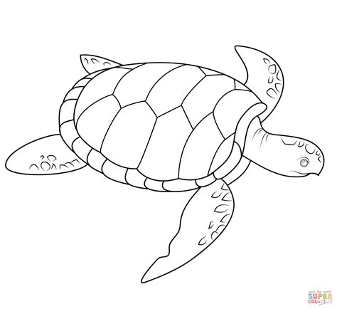 Sea Turtle Coloring Page Printable
