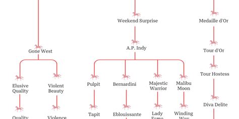 Secretariat Lineage Chart