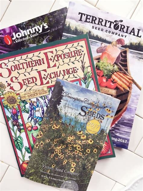Seed Catalogs For Southern Gardens
