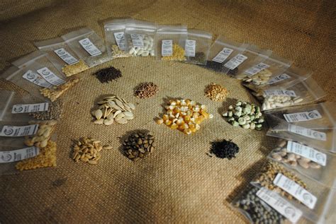Seed Cellar Catalog