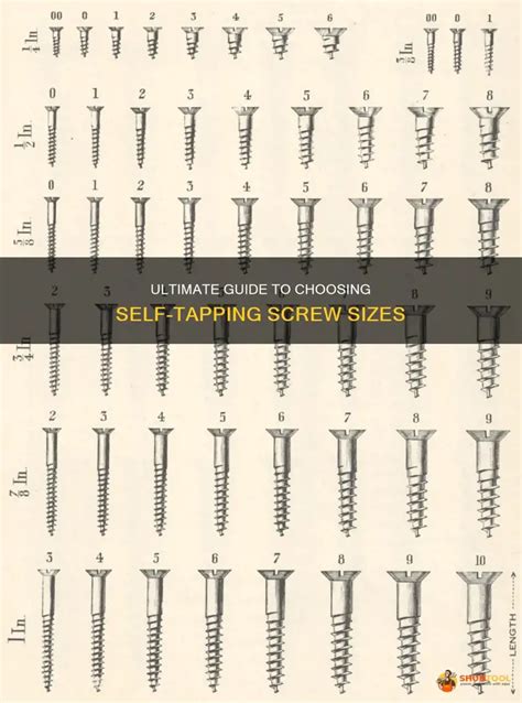 Self Tapping Screw Sizes Chart