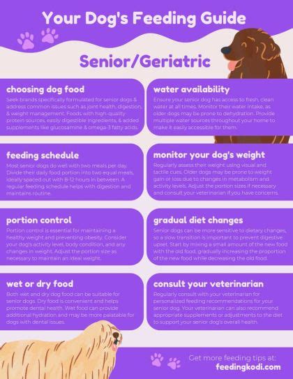 Senior Dog Feeding Chart