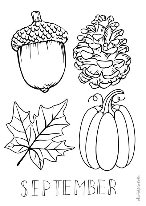 September Coloring Pages Free Printable