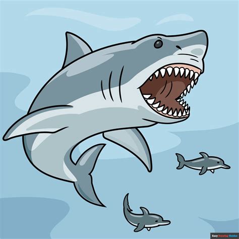 Shark Images Drawing