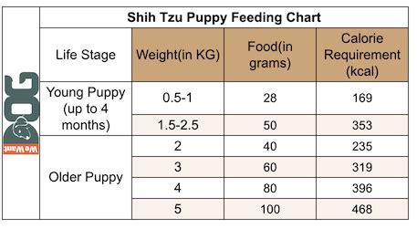 Shih Tzu Feeding Chart