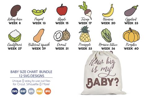 Size Chart Pregnancy