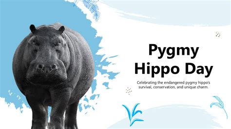 Slides Template Hippo