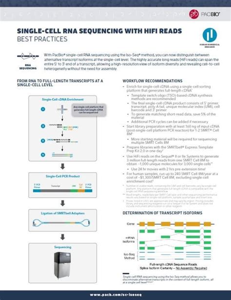 Smrtbell Express Template Prep Kit 4.0 Pacbio