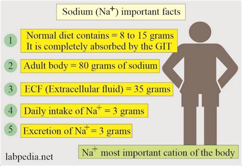Sodium Levels Chart