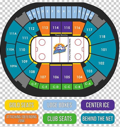 Solar Bears Seating Chart