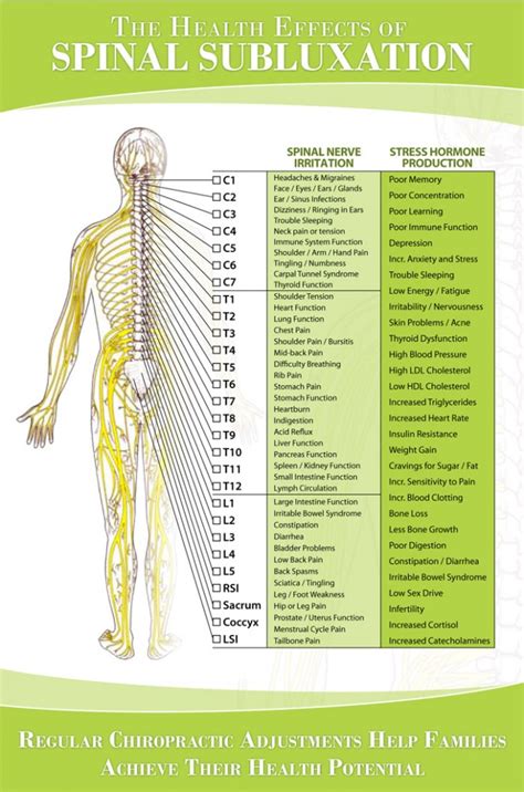 Spine Nerve Pain Chart