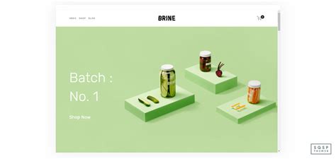 Squarespace Brine Template