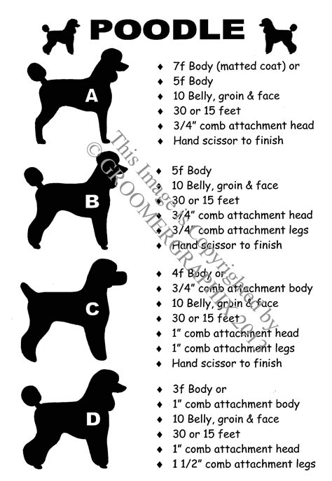 Standard Poodle Grooming Chart
