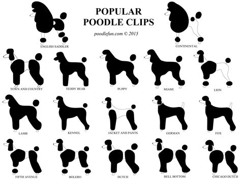Standard Poodle Poodle Cuts Chart