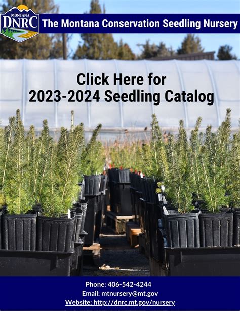 Stark Nursery Catalog