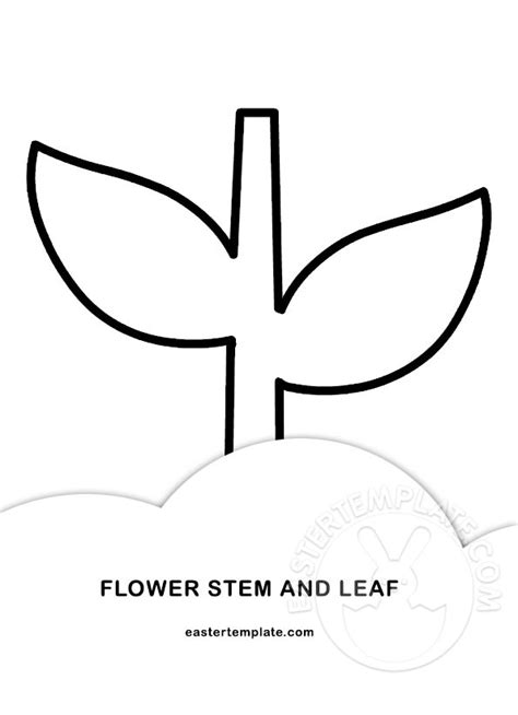 Stem And Leaf Template