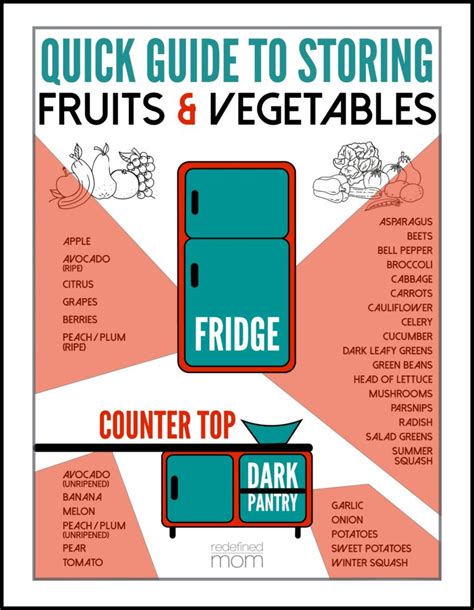 Storing Fruits And Vegetables In The Crisper Printable Chart