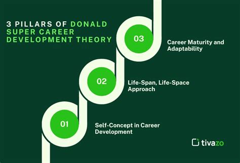 Super Theory Of Career Development