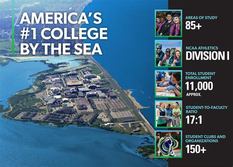 Tamucc Course Catalogue