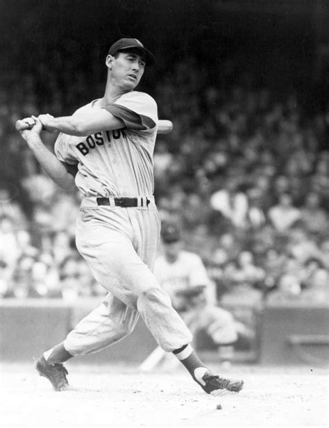 Ted Williams Baseball Career