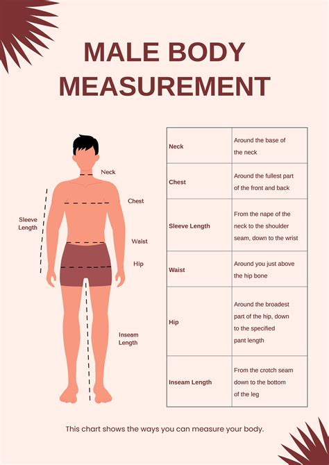 Template For Body Measurements