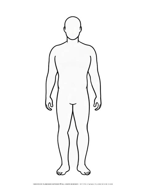 Template For Human Body