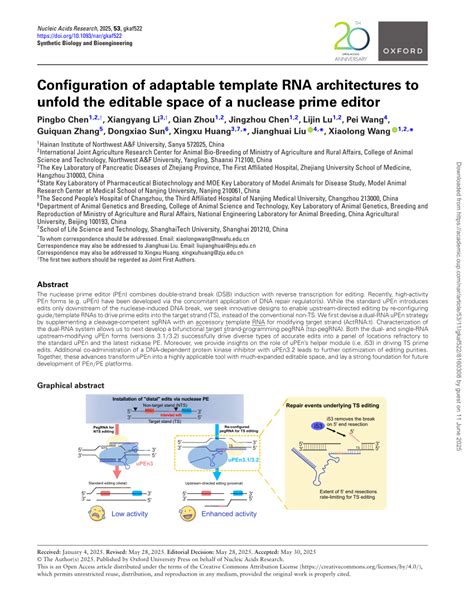 Template For Rna