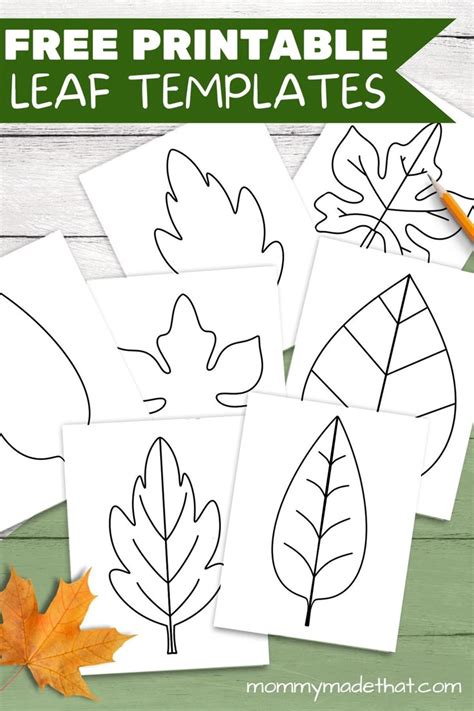 Templates For Leaves