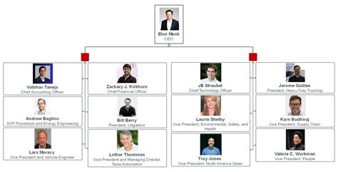 Tesla Organisational Chart
