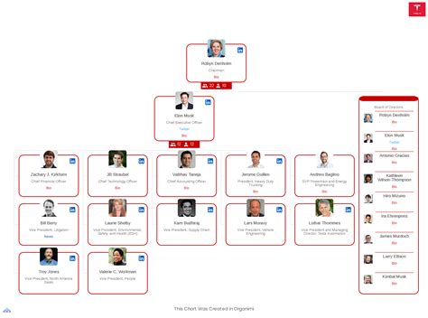 Tesla Organizational Chart