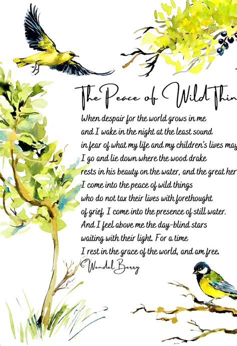 The Peace Of Wild Things Printable