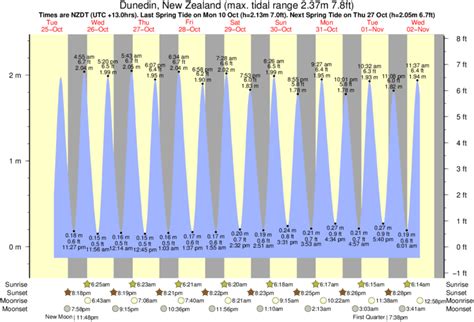 Tide Chart For Dunedin Causeway