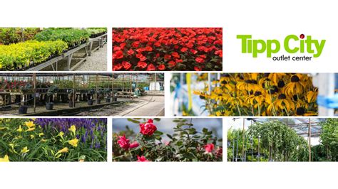 Tipp City Catalog Outlet Center