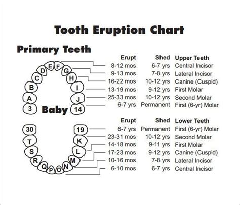 Tooth Letter Chart