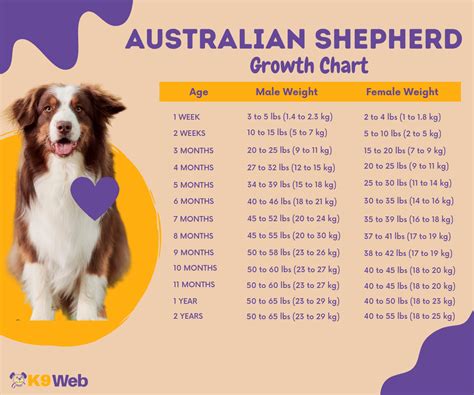 Toy Australian Shepherd Weight Chart