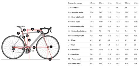 Trek Checkpoint Size Chart