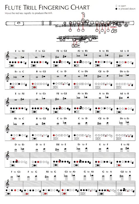 Trill Fingering Chart For Flute
