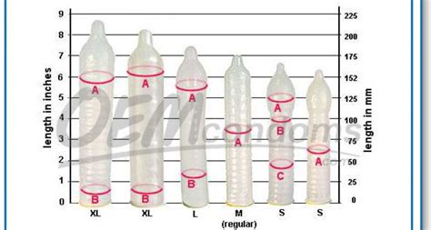Trojan Size Chart