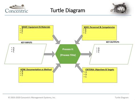 Turtle Diagram Template