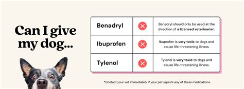 Tylenol Dogs Dosage Chart