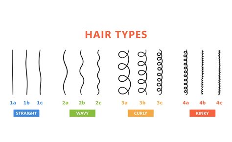 Types Of Hair Chart