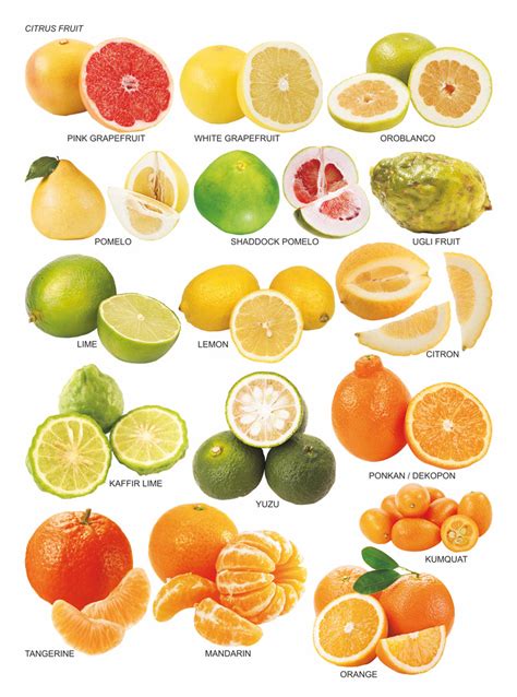 Types Of Limes Chart