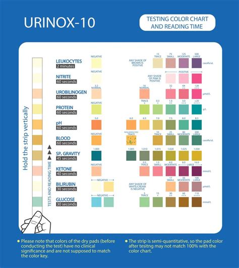 Urinox 10 Results Chart