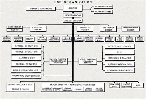 Us Secret Service Organizational Chart