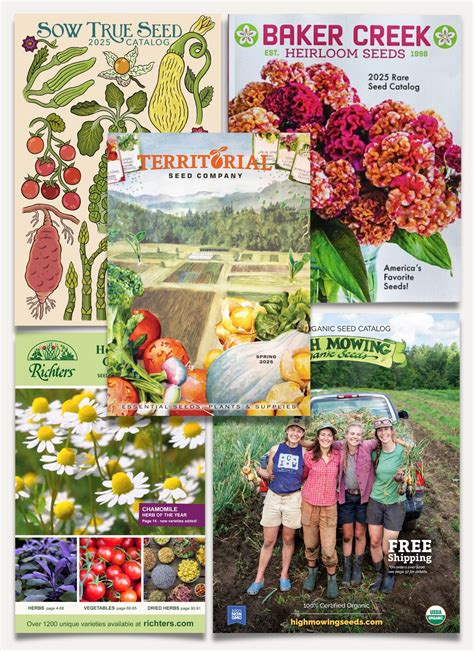 Veg Seed Catalogues