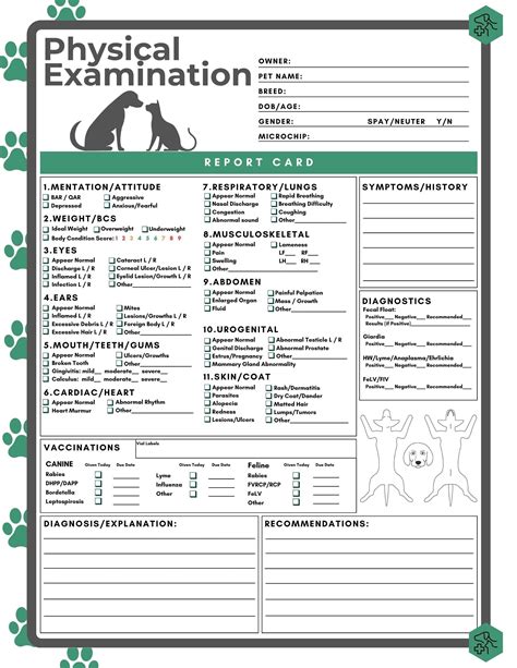 Veterinary Physical Exam Template